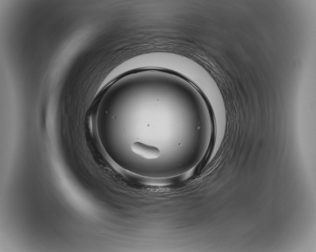 X0000116680429200912141436