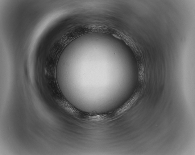 X0000116680430200912141436