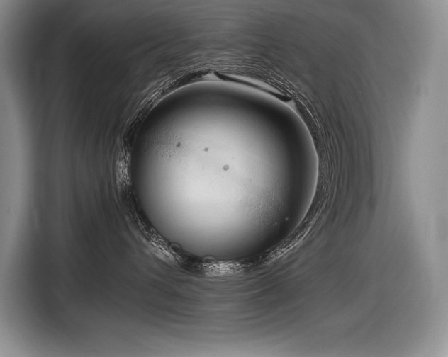 X0000116680432200912141436