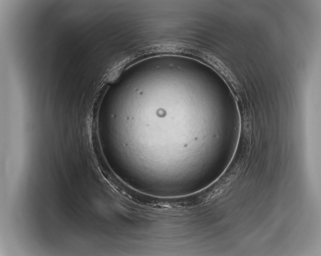 X0000116680434200912141435