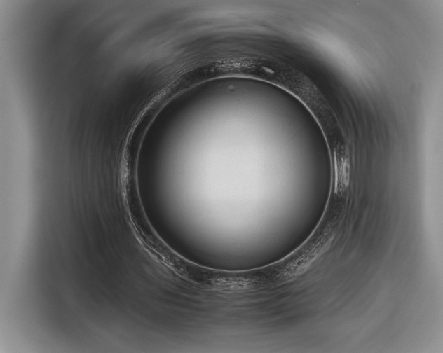 X0000116680435200912141435