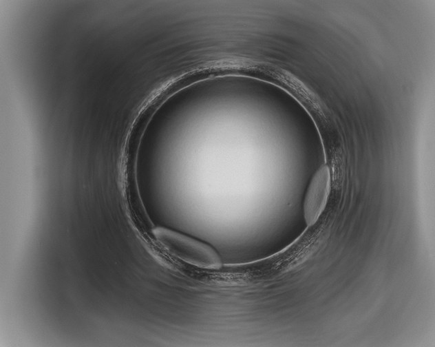 X0000116680436200912141435