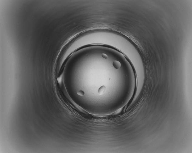 X0000116680440200912141435