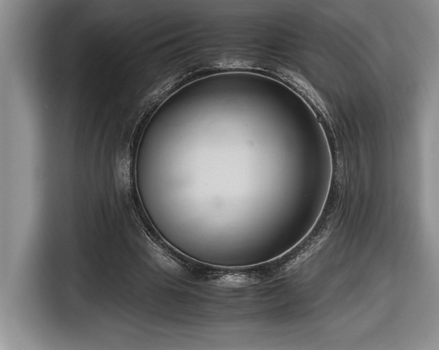 X0000116680441200912141435