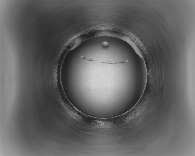 X0000116680442200912141435