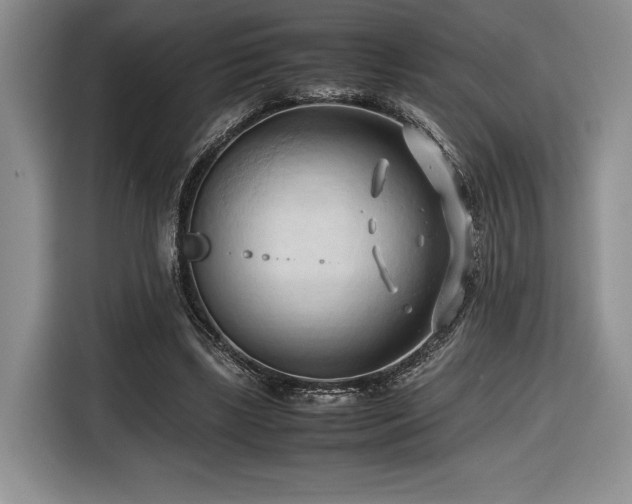 X0000116680443200912141435