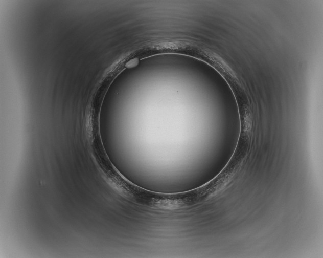 X0000116680444200912141435