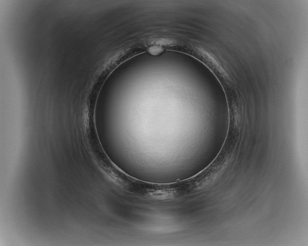 X0000116680447200912141435