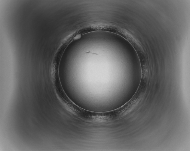 X0000116680448200912141435