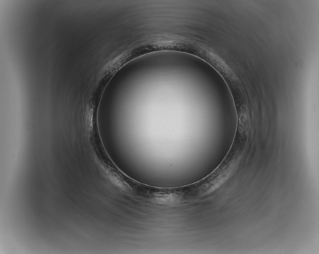 X0000116680454200912141435