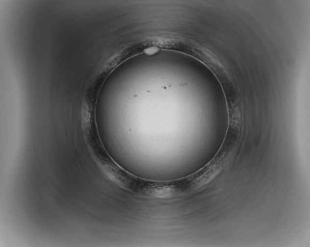 X0000116680456200912141435