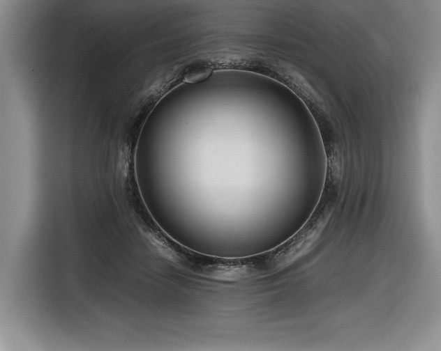 X0000116680458200912141435