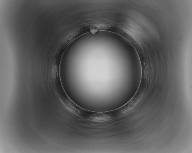 X0000116680459200912141435