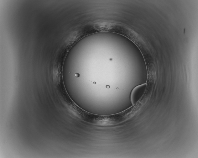 X0000116680460200912141435