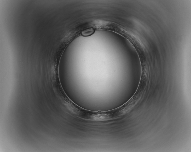 X0000116680461200912141435