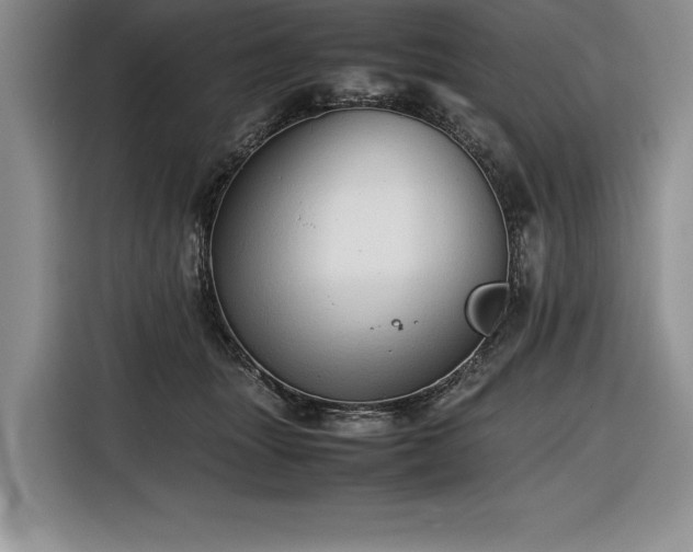 X0000116680463200912141435