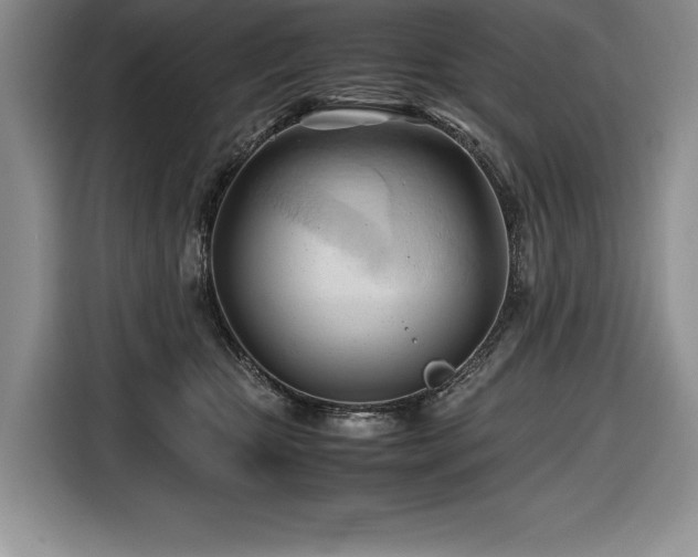 X0000116680467200912141435