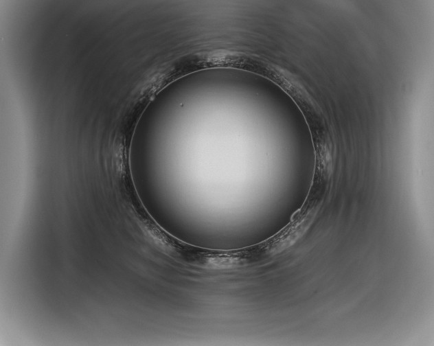 X0000116680470200912141435