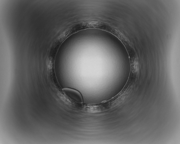 X0000116680472200912141435