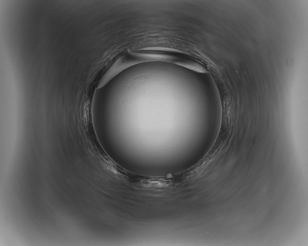 X0000116680475200912141435