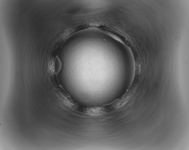 X0000116680479200912141435