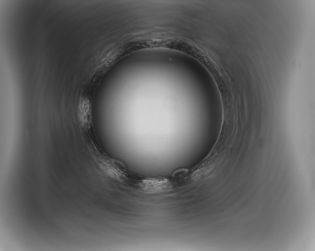 X0000116680480200912141435