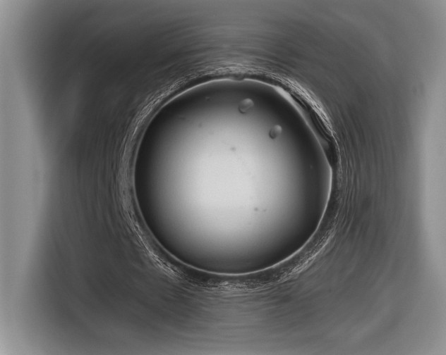 X0000116680481200912141435