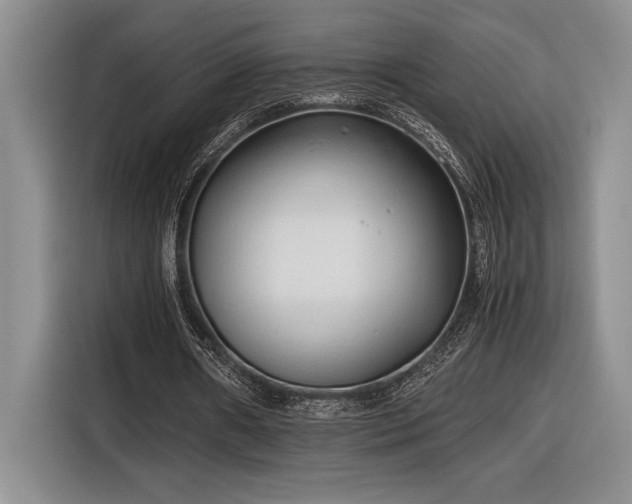 X0000116680482200912141435