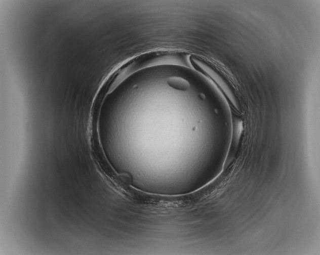 X0000116680484200912141435