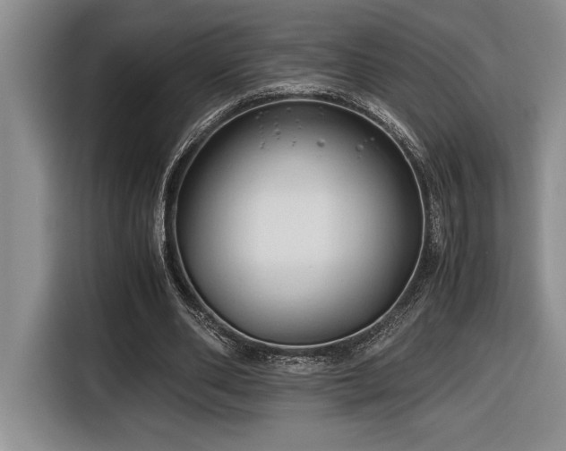 X0000116680486200912141435