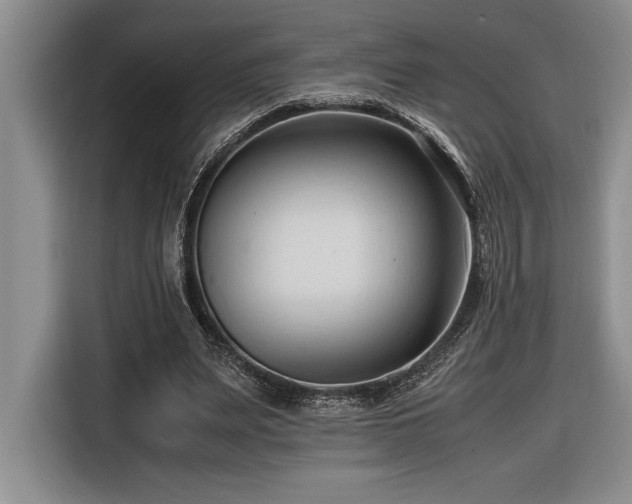 X0000116680487200912141435