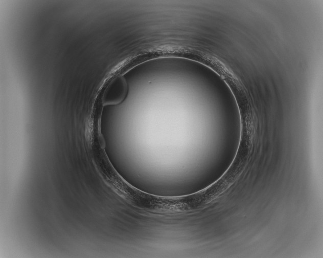 X0000116680488200912141435