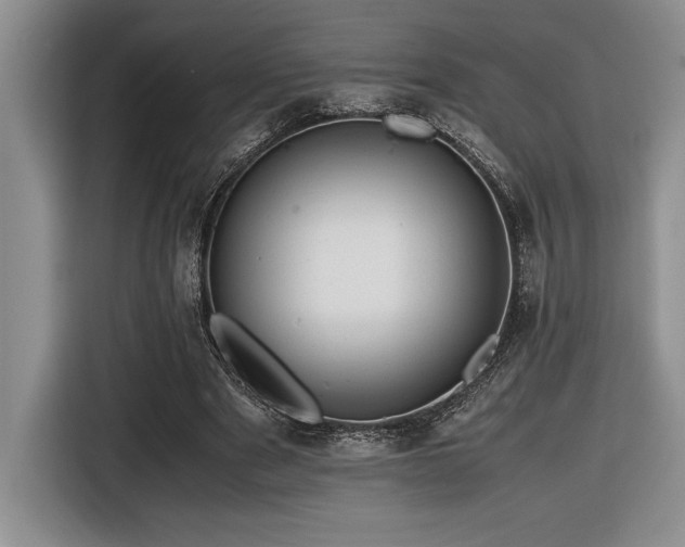 X0000116680489200912141435