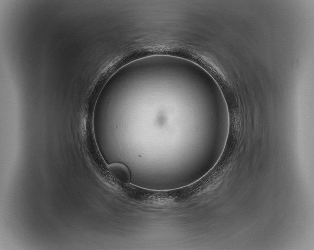 X0000116680491200912141435