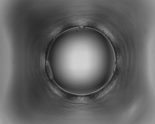 X0000116680493200912141435