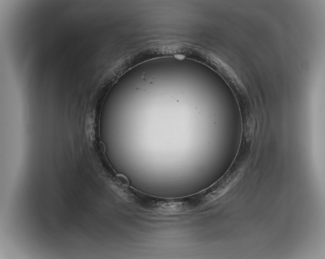 X0000116680497200912141435