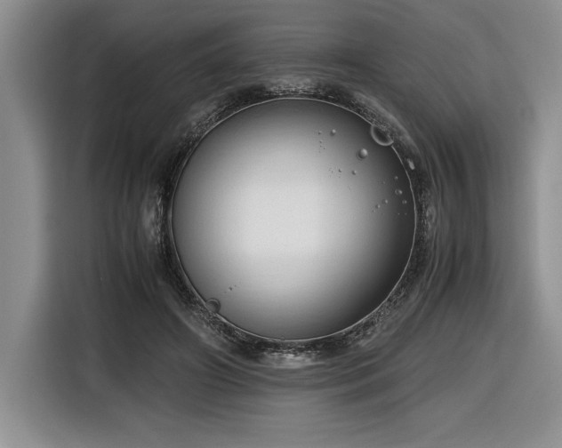 X0000116680498200912141435