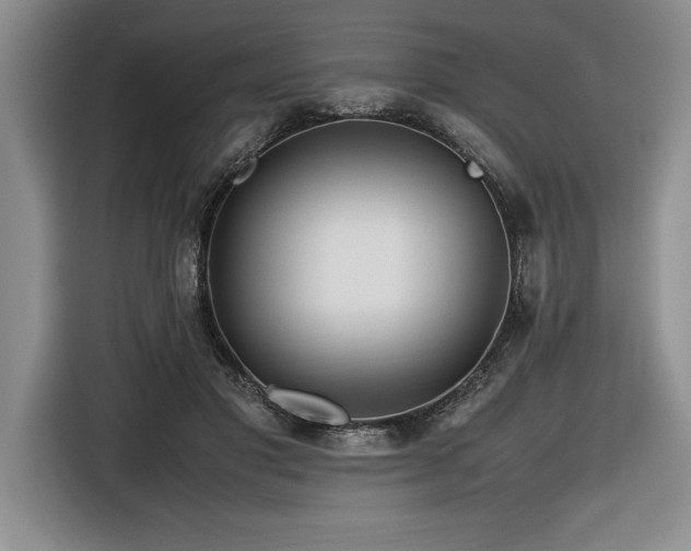 X0000116680501200912141435