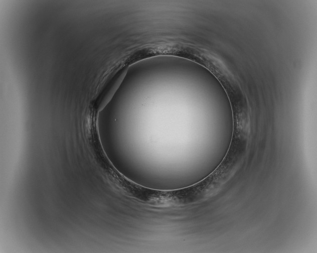 X0000116680503200912141435