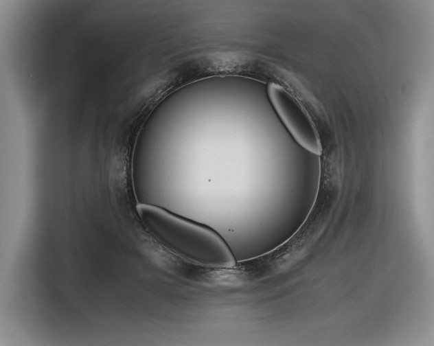 X0000116680505200912141435