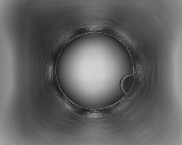 X0000116680506200912141435