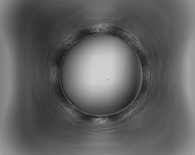 X0000116680511200912141434