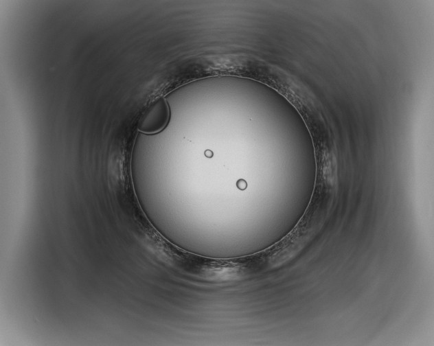 X0000116680514200912141434