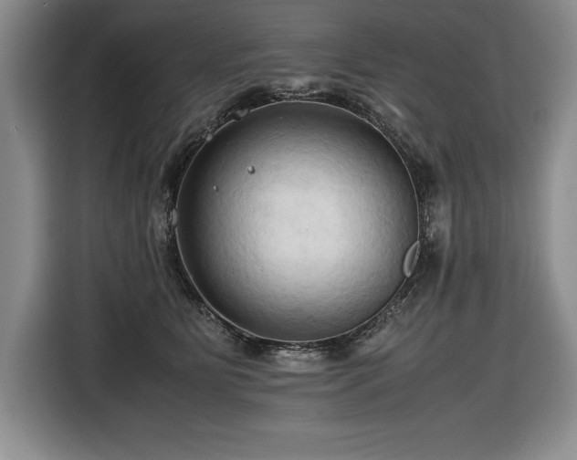 X0000116680515200912141434