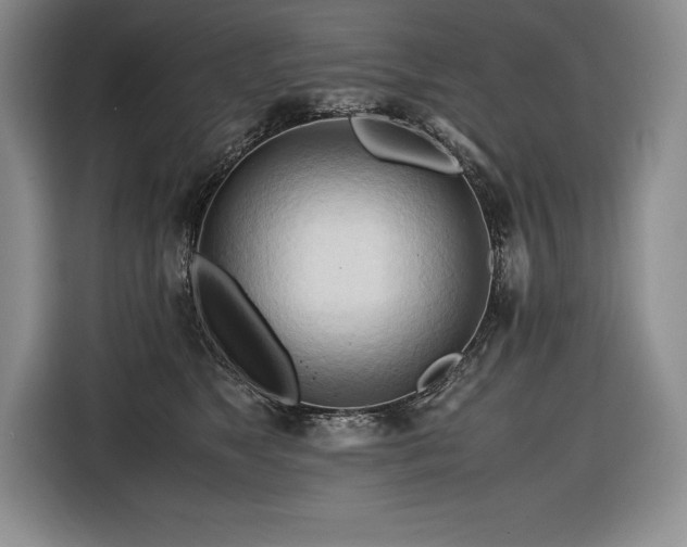 X0000116680517200912141434