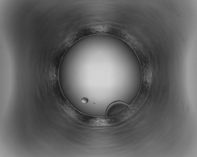 X0000116680518200912141434