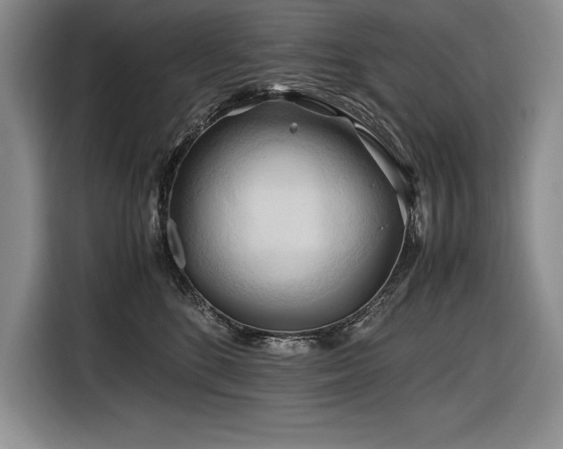 X0000116680520200912141434