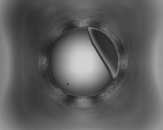 X0000116680521200912141434