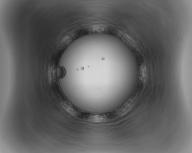 X0000116680522200912141434