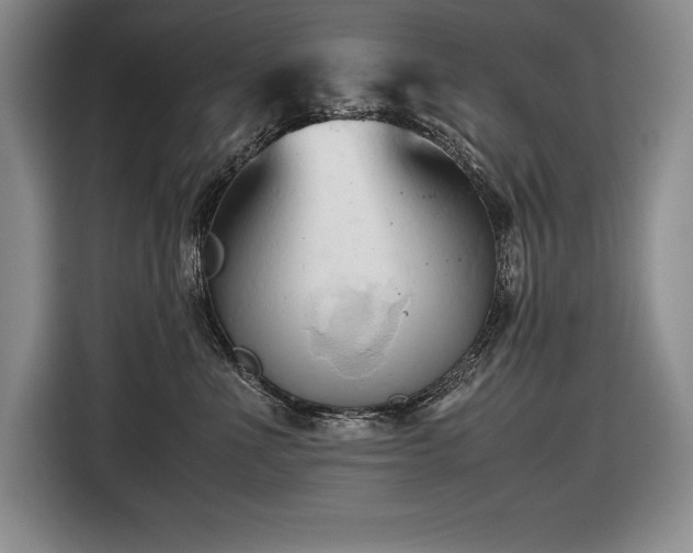 X0000116680523200912141434